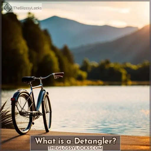 What is a Detangler
