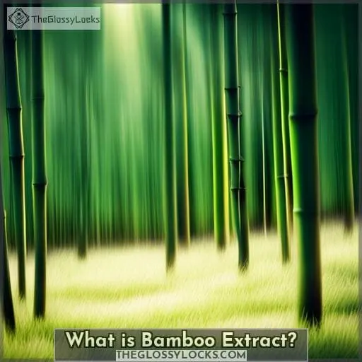 What is Bamboo Extract