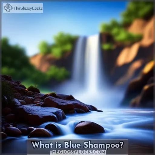 What is Blue Shampoo