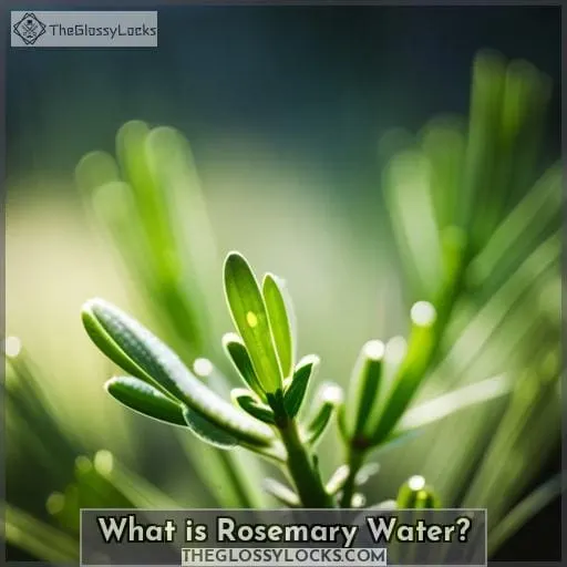 What is Rosemary Water