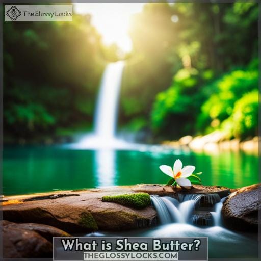 What is Shea Butter What is Shea Butter