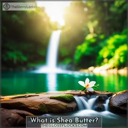 What is Shea Butter