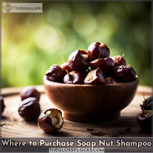 Where to Purchase Soap Nut Shampoo