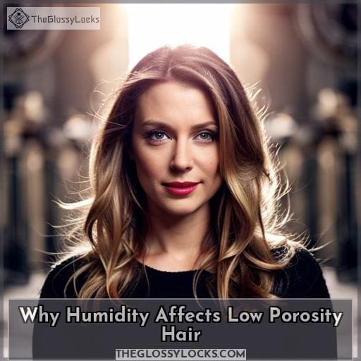 How Humidity Affects Low Porosity Hair