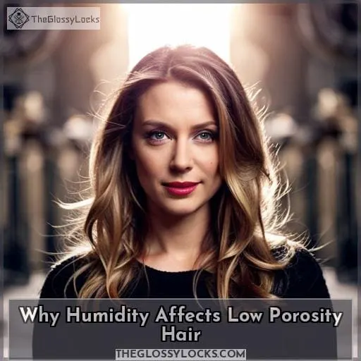 Why Humidity Affects Low Porosity Hair