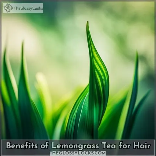 Benefits of Lemongrass Tea for Hair