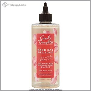 Carol's Daughter Wash Day Delight