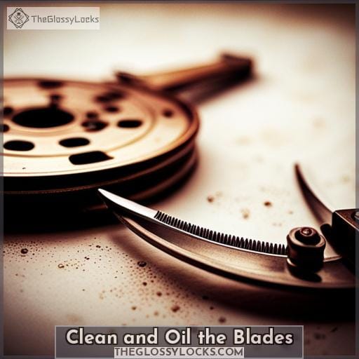 Clean and Oil the Blades