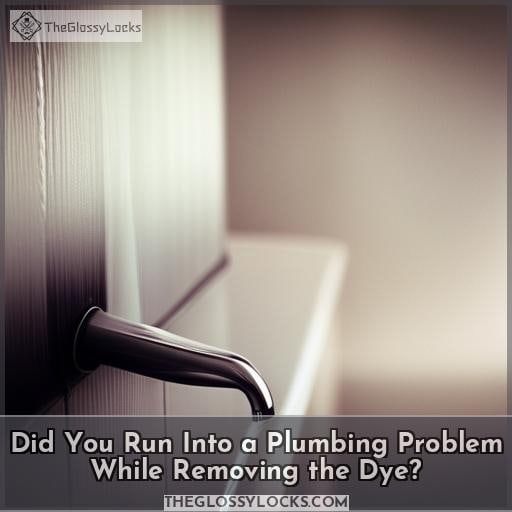 Did You Run Into a Plumbing Problem While Removing the Dye