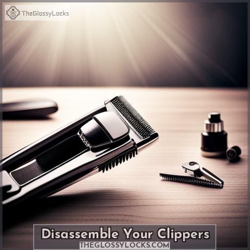 Disassemble Your Clippers