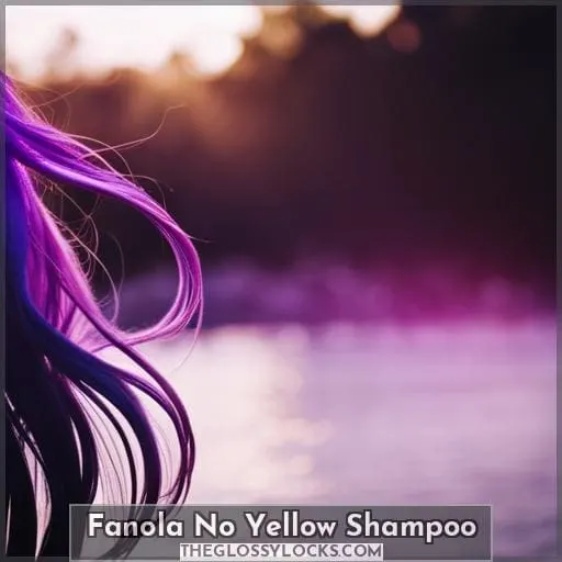 Fanola No Yellow Shampoo