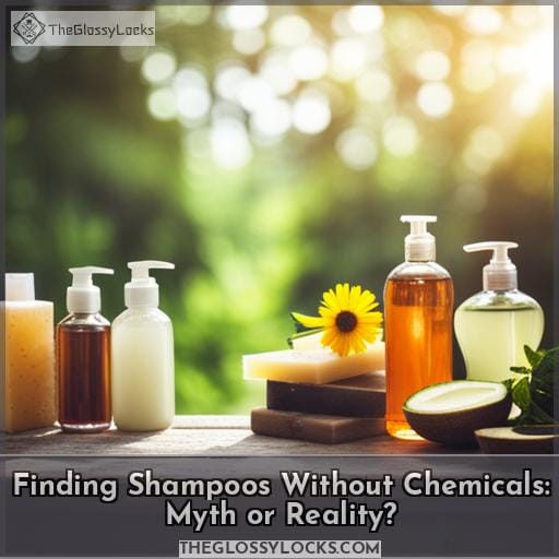 Finding Shampoos Without Chemicals: Myth or Reality