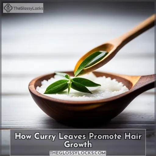 How Curry Leaves Promote Hair Growth