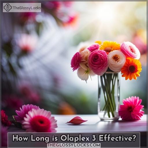 How Long is Olaplex 3 Effective How Long is Olaplex 3 Effective