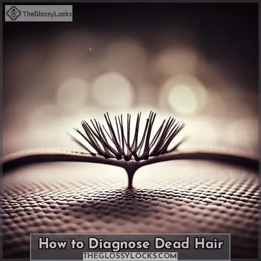 How to Diagnose Dead Hair