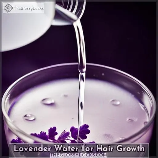 Lavender Water for Hair Growth