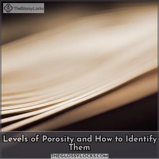 Levels of Porosity and How to Identify Them