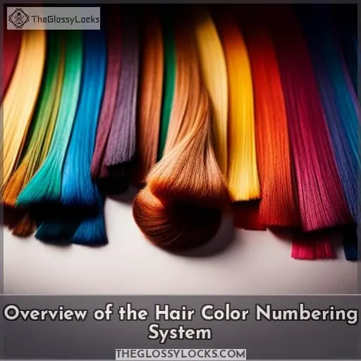 Overview of the Hair Color Numbering System