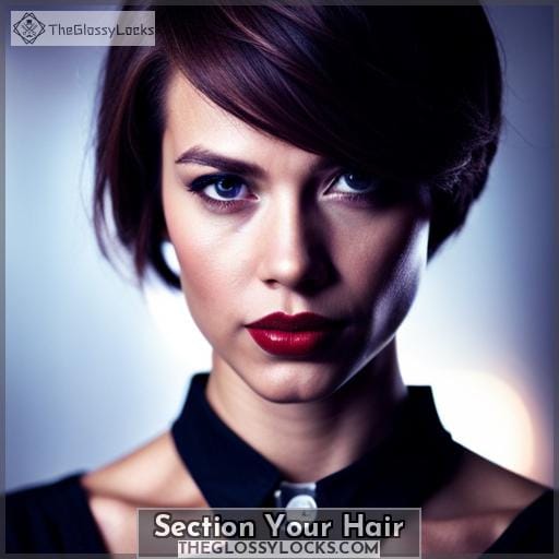 Section Your Hair Section Your Hair
