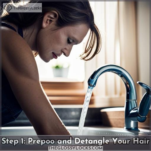 Step 1: Prepoo and Detangle Your Hair