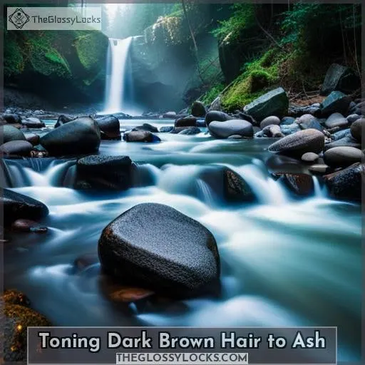 Toning Dark Brown Hair to Ash