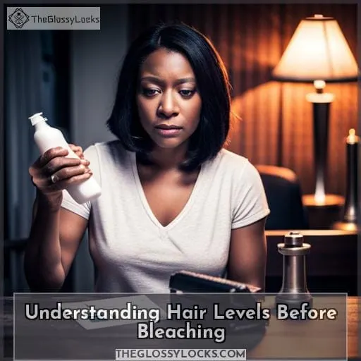 Understanding Hair Levels Before Bleaching
