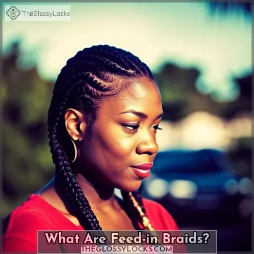 What Are Feed-in Braids