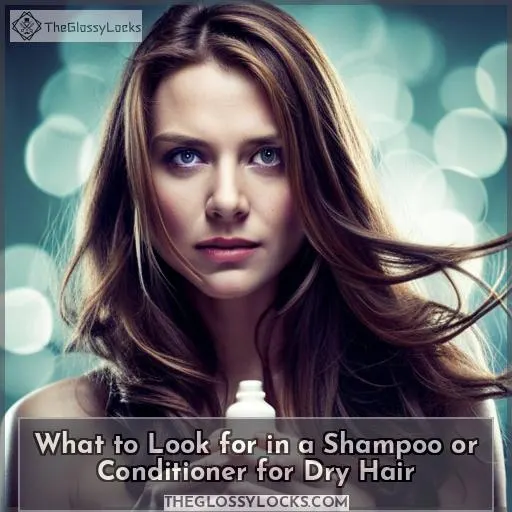 What to Look for in a Shampoo or Conditioner for Dry Hair