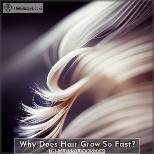Why Does Hair Grow So Fast?
