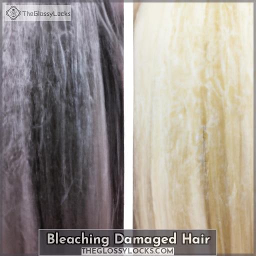 Bleaching Damaged Hair Bleaching Damaged Hair