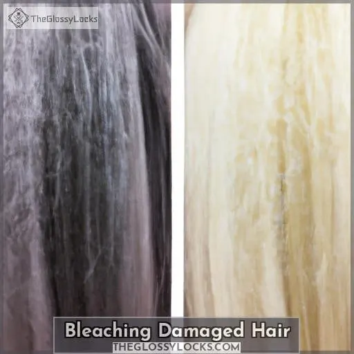 Bleaching Damaged Hair