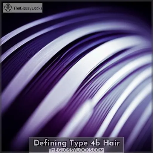 Defining Type 4b Hair
