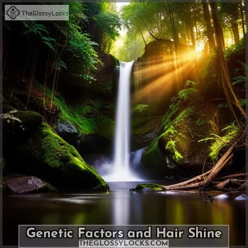 Genetic Factors and Hair Shine