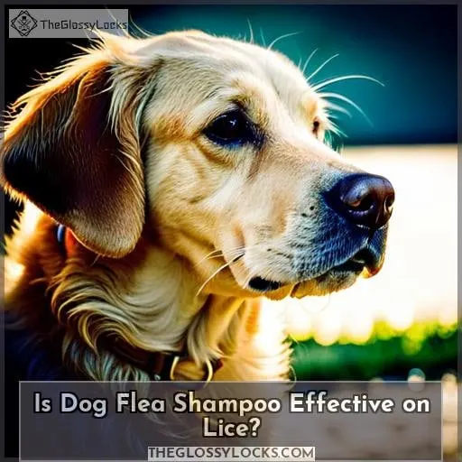 Is Dog Flea Shampoo Effective on Lice