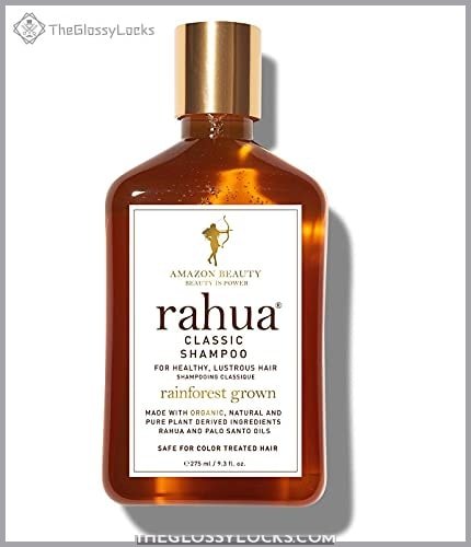Rahua Classic Hair Shampoo 9.3