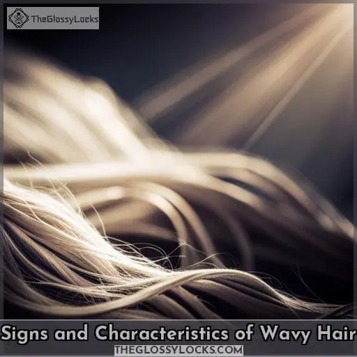 Signs and Characteristics of Wavy Hair