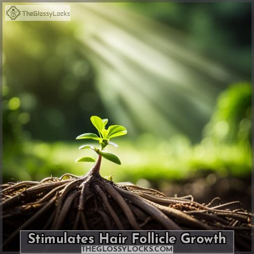 Stimulates Hair Follicle Growth Stimulates Hair Follicle Growth
