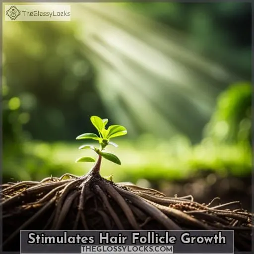Stimulates Hair Follicle Growth