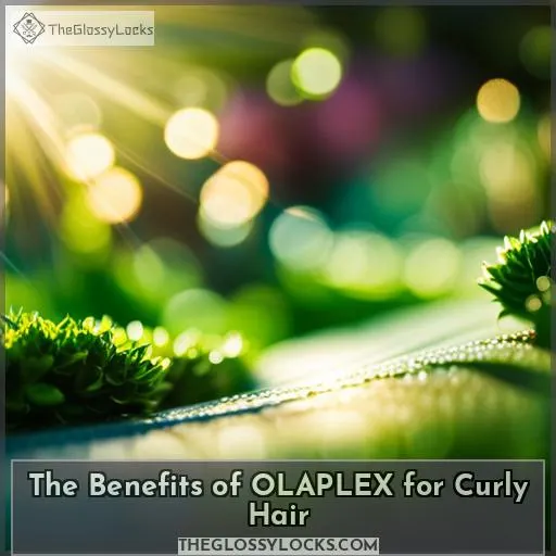 The Benefits of OLAPLEX for Curly Hair
