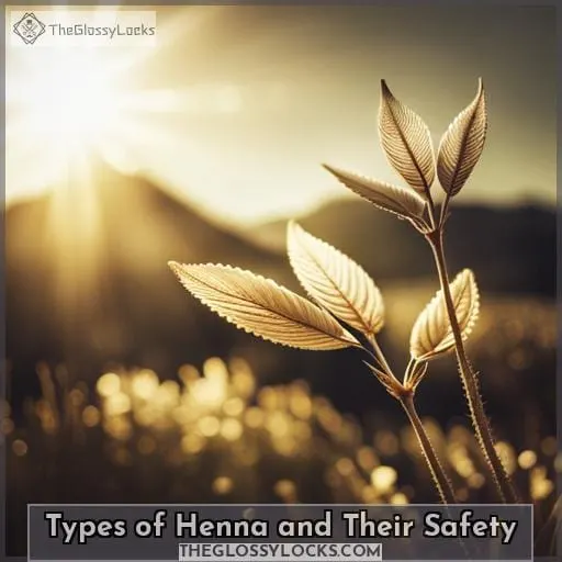 Types of Henna and Their Safety