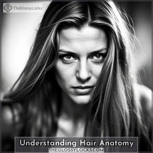 Understanding Hair Anatomy