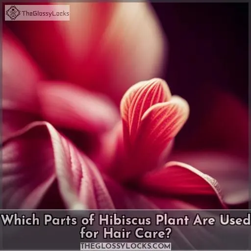 Which Parts of Hibiscus Plant Are Used for Hair Care