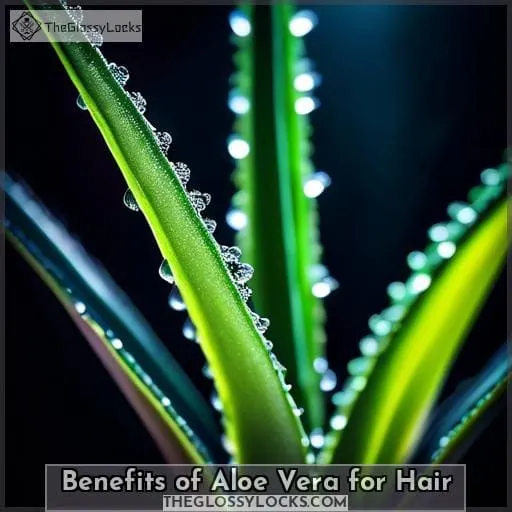 Benefits of Aloe Vera for Hair