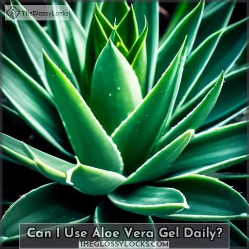 Can I Use Aloe Vera Gel Daily