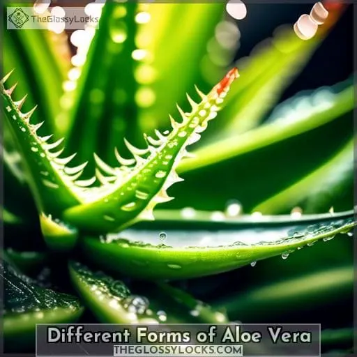 Different Forms of Aloe Vera