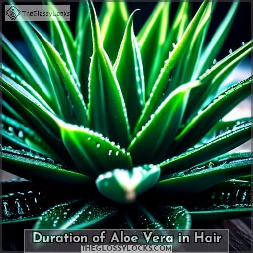 Duration of Aloe Vera in Hair