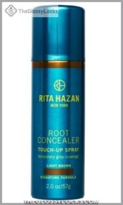 Rita Hazan Root Concealer Touch B01DA344W8