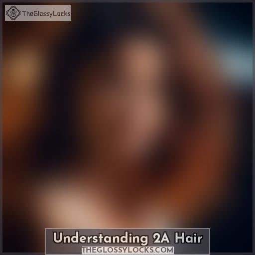 Understanding 2A Hair Understanding 2A Hair