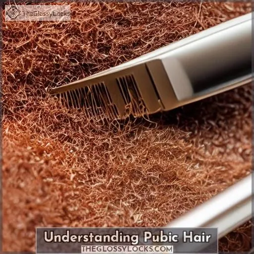 Understanding Pubic Hair