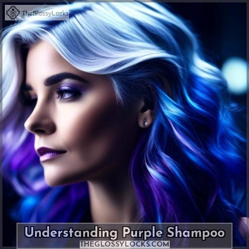 Blue Purple Shampoo for Gray Hair A Complete Care Guide